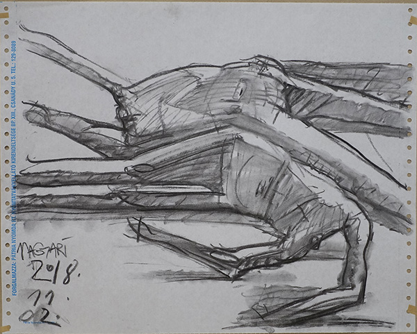 2018 Szülőföld 05